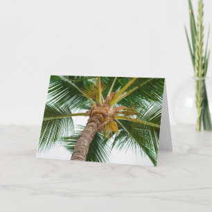 Palm Tree from Down Below Card