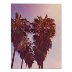 Palm Tree Heart Photo Print