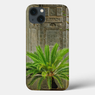 Palm Tree   Hongcun, China iPhone 13 Case