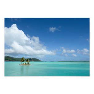Palm tree in Bora Bora lagoon photo print