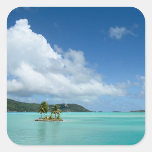 Palm tree in Bora Bora lagoon square sticker