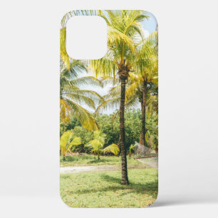 Palm tree in the morning iPhone 12 case