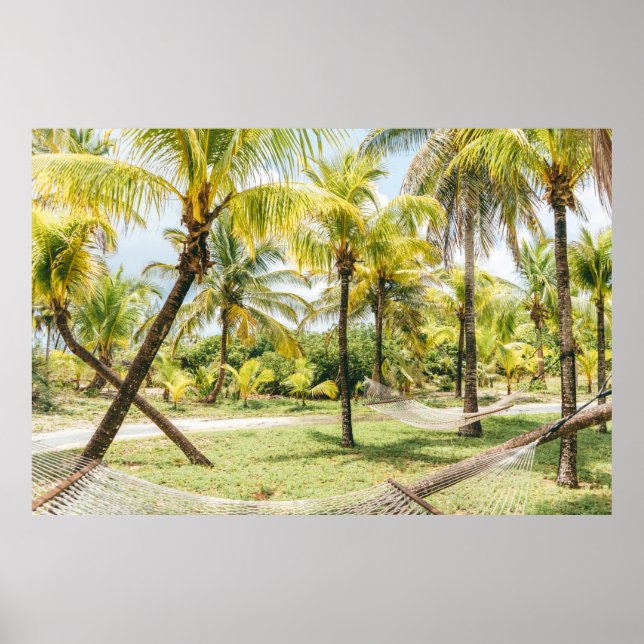 Palm tree in the morning poster (Front)