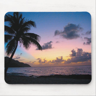 Palm Tree in the Sunset Mouse Pad