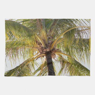 Palm Tree Kitchen Towels