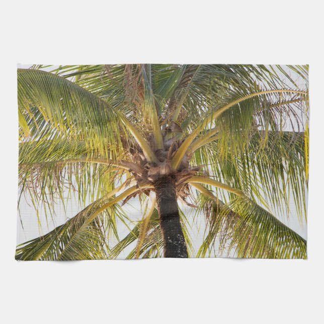 Palm Tree Kitchen Towels (Horizontal)