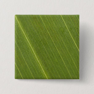 Palm Tree Leaf 15 Cm Square Badge