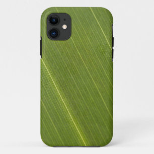Palm Tree Leaf iPhone 11 Case