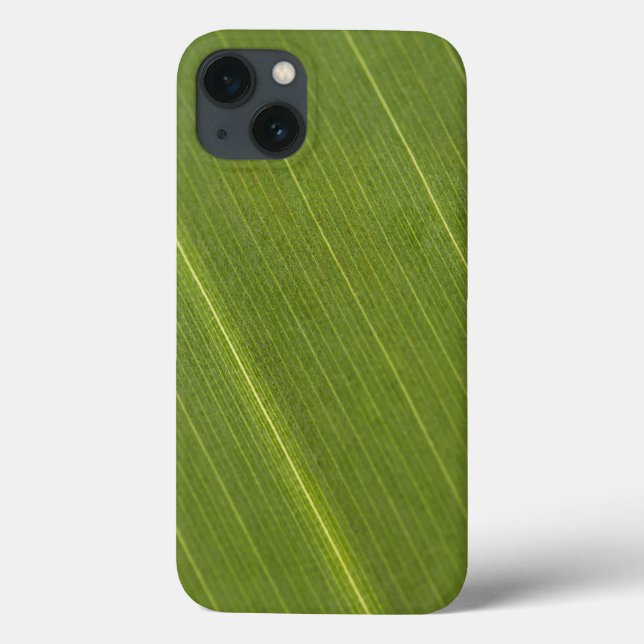 Palm Tree Leaf Case-Mate iPhone Case (Back)