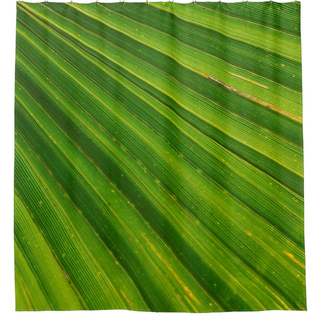 Palm tree leaf james palm trees shower curtain (Front)