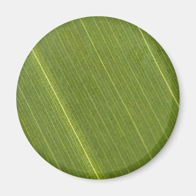 Palm Tree Leaf Magnet (Front)