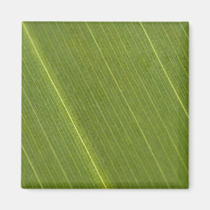Palm Tree Leaf Magnet