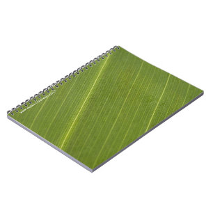 Palm Tree Leaf Notebook