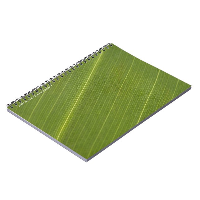 Palm Tree Leaf Notebook (Left Side)