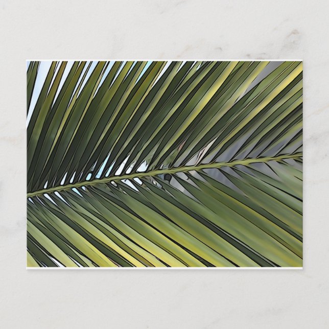 Palm Tree Leaf Postcard (Front)