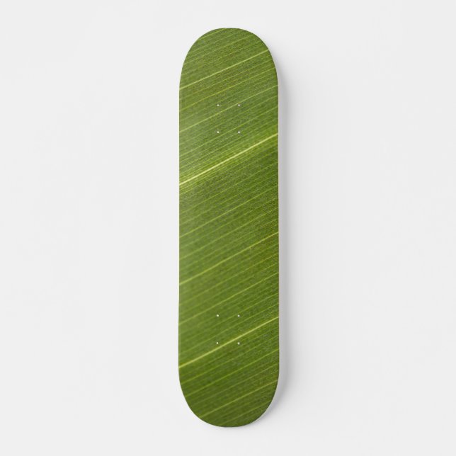 Palm Tree Leaf Skateboard (Front)