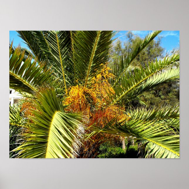 Palm tree leaves and flowers poster (Front)