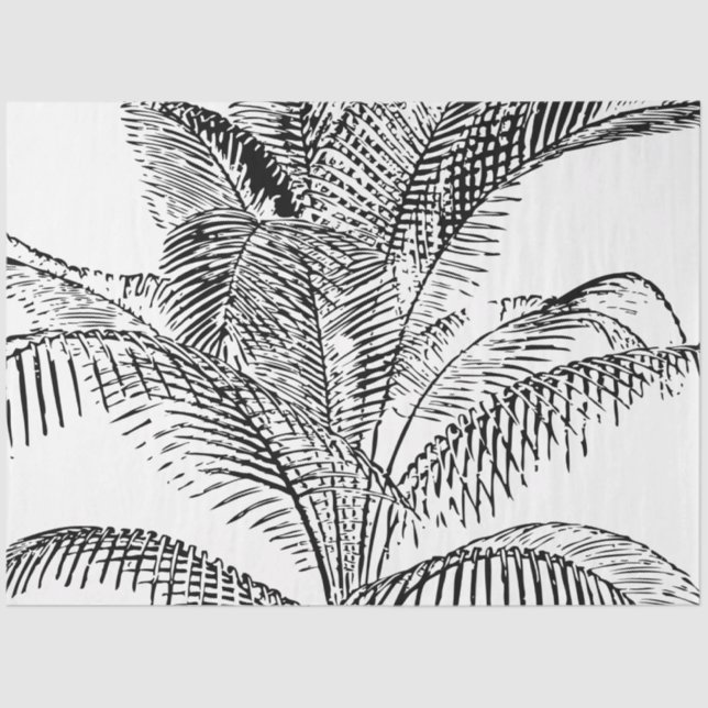 Palm Tree Leaves Black & White Abstract Pattern Tissue Paper (Front)