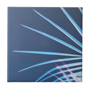 Palm Tree Leaves Minimalism Sketch Ceramic Tile