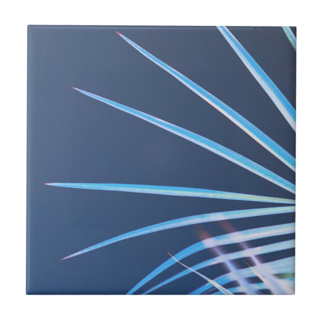 Palm Tree Leaves Minimalism Sketch Ceramic Tile (Front)