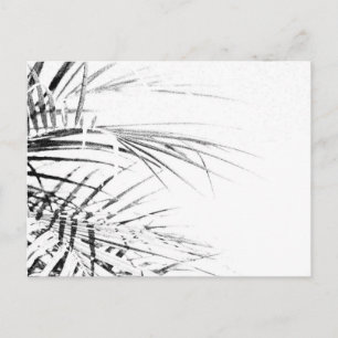 Palm Tree Leaves Minimalism Sketch Postcard