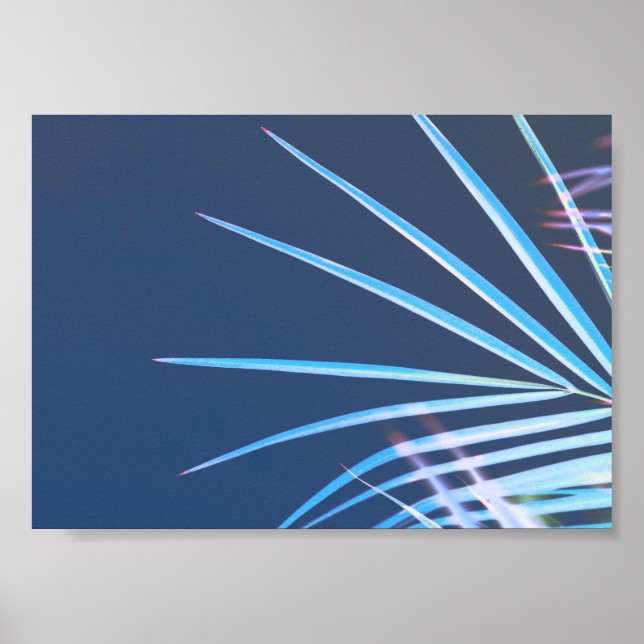 Palm Tree Leaves Minimalism Sketch Poster (Front)