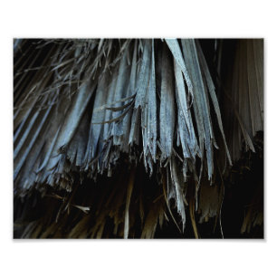 Palm Tree Leaves Photo Print