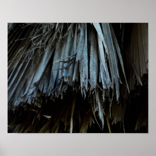 Palm Tree Leaves Poster