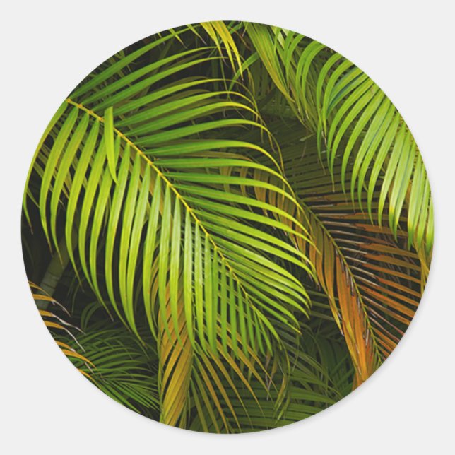 Palm Tree Leaves Summer Beach Tropical Wedding Classic Round Sticker (Front)