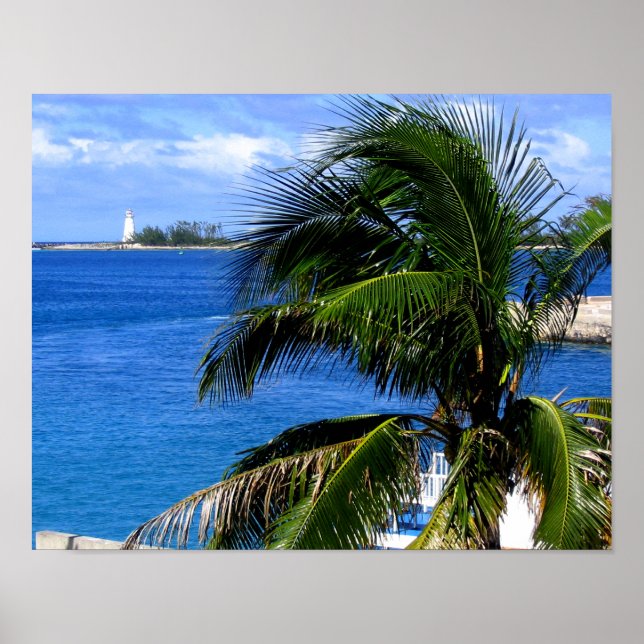 Palm Tree & Lighthouse Poster (Front)