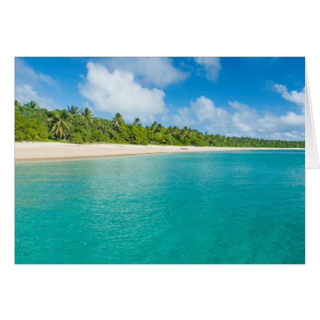 Palm tree lined beach, Tonga (Front Horizontal)