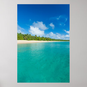 Palm tree lined beach, Tonga Poster