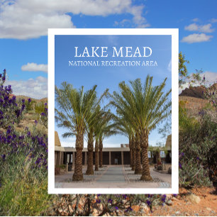 Palm Tree-Lined Walk Visitor Centre Lake Mead ,NRA Postcard