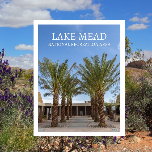 Palm Tree-Lined Walk Visitor Centre Lake Mead ,NRA Postcard (Creator Uploaded)