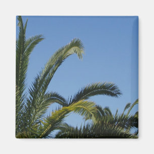 Palm Tree Magnet