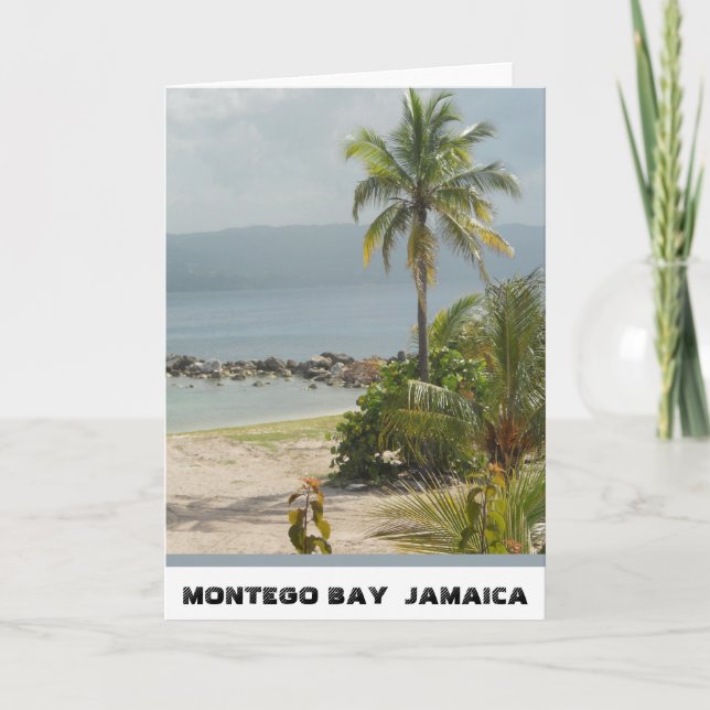 Palm Tree, Montego Bay Jamaica June 2011 Card (Front)