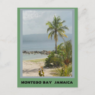 Palm Tree, Montego Bay Jamaica Postcard