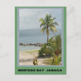 Palm Tree, Montego Bay Jamaica Postcard