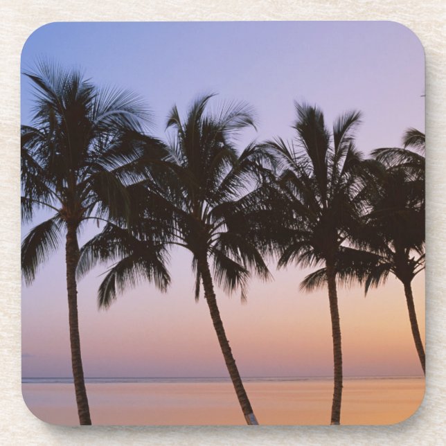 Palm tree, morning coaster (Front)