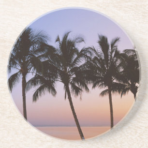 Palm tree, morning coaster