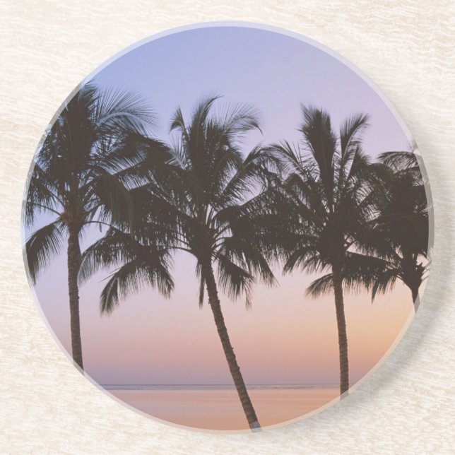 Palm tree, morning coaster (Front)