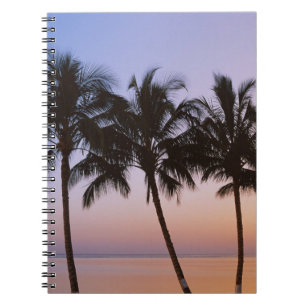 Palm tree, morning notebook