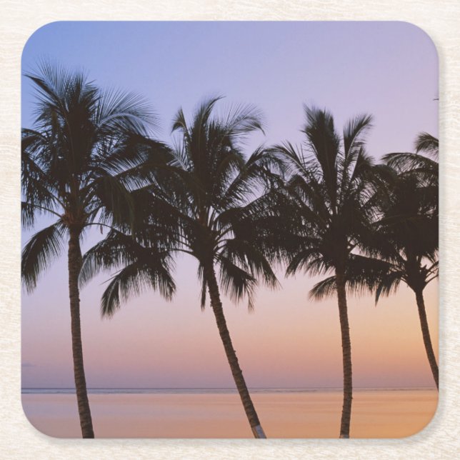 Palm tree, morning square paper coaster (Front)
