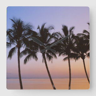 Palm tree, morning square wall clock