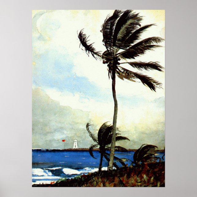 'Palm Tree-Nassau' Poster (Front)
