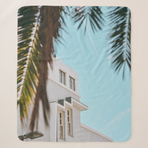 Palm tree near white concrete building sherpa blanket