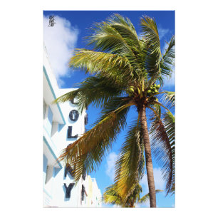 Palm Tree on Miami Beach Photo Print