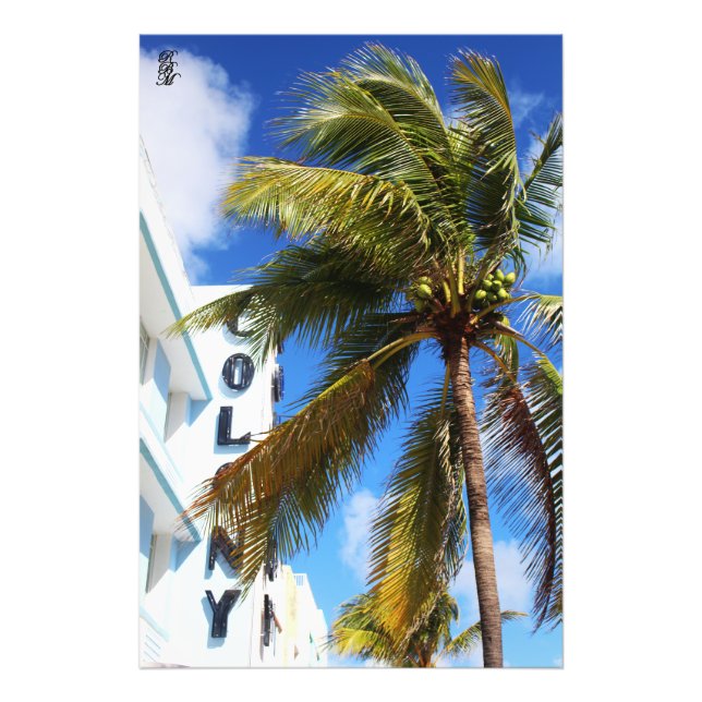 Palm Tree on Miami Beach Photo Print (Front)
