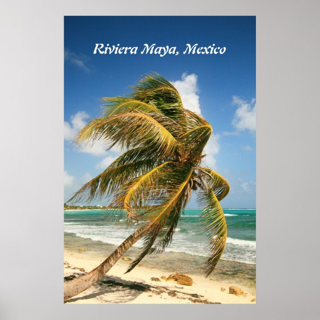 Palm Tree on the Riviera Maya, Mexico Poster (Front)