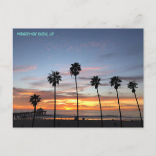 Palm Tree Party - 🤩Manhattan Beach Postcard